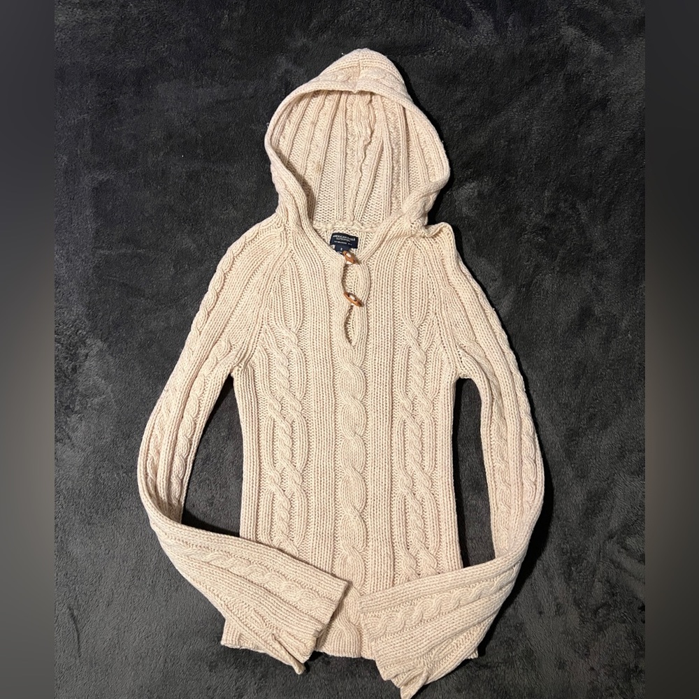 American Eagle Hooded Sweater